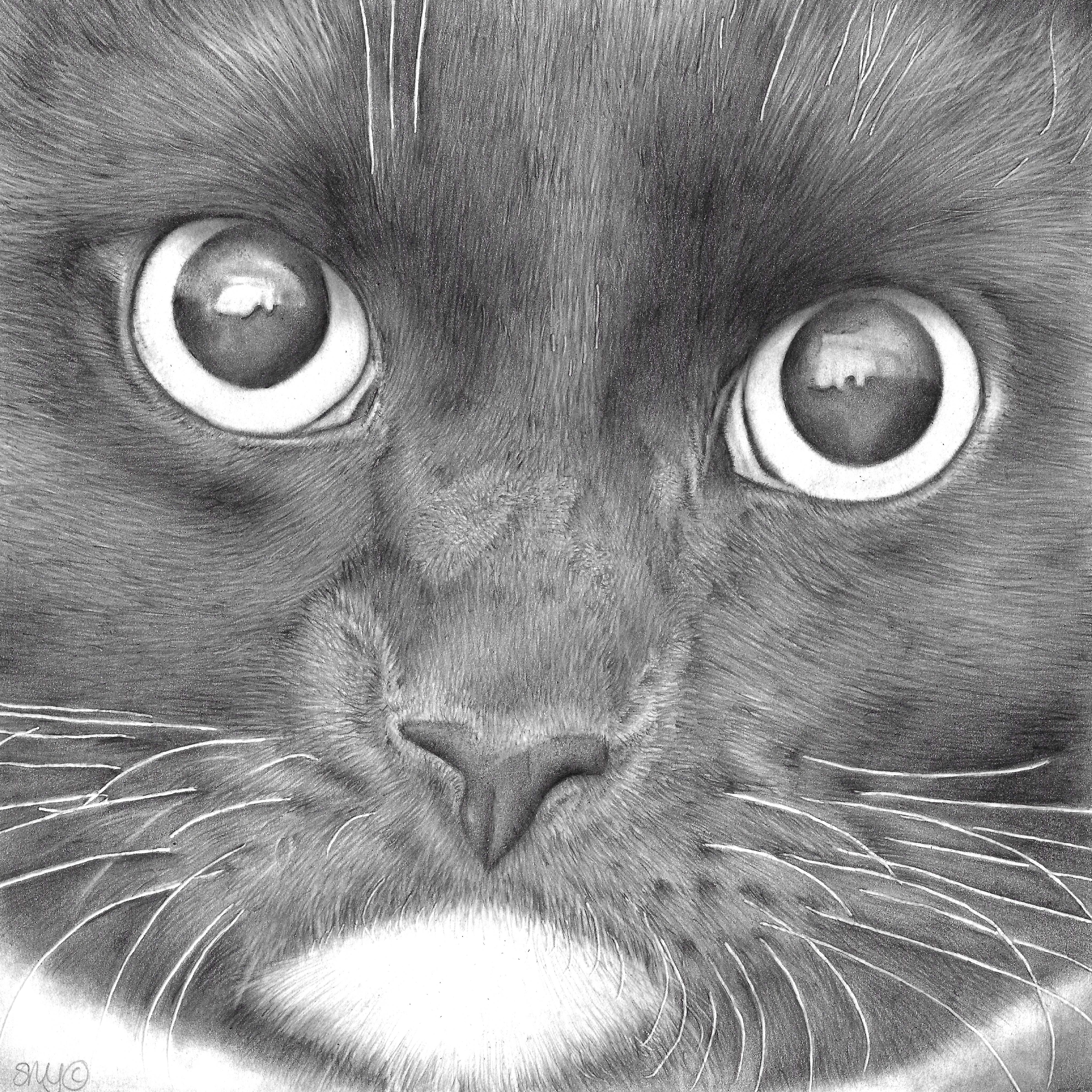 Mittens